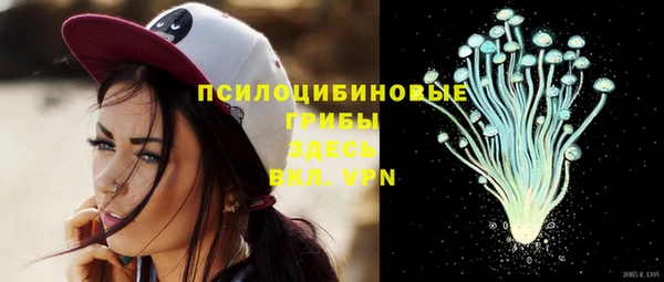 MDMA Premium VHQ Каменка