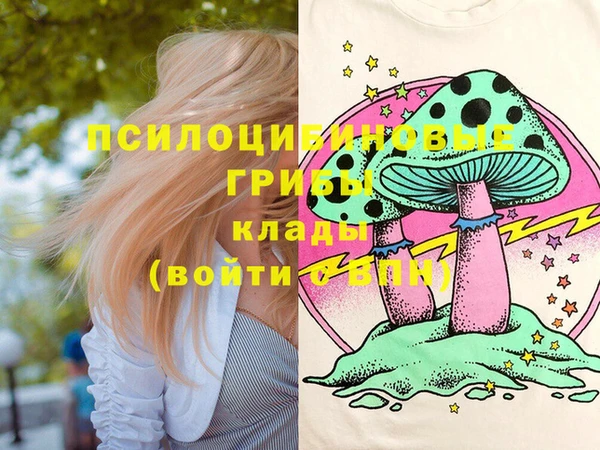 MDMA Premium VHQ Каменка